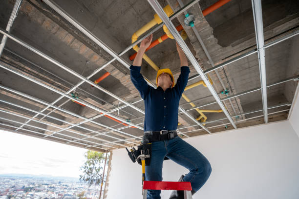 Best Clogged Drain Plumber  in Brockport, NY